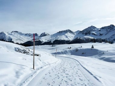 Excellently arranged and cleaned winter trails for walking, hiking, sports and recreation in the area of the Swiss tourist winter resort of Arosa - Canton of Grisons, Switzerland (Schweiz)