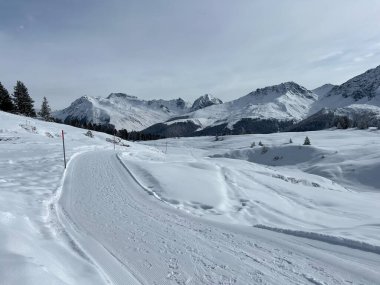 Excellently arranged and cleaned winter trails for walking, hiking, sports and recreation in the area of the Swiss tourist winter resort of Arosa - Canton of Grisons, Switzerland (Schweiz)