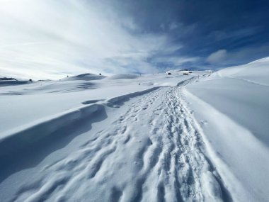 Excellently arranged and cleaned winter trails for walking, hiking, sports and recreation in the area of the Swiss tourist winter resort of Arosa - Canton of Grisons, Switzerland (Schweiz)