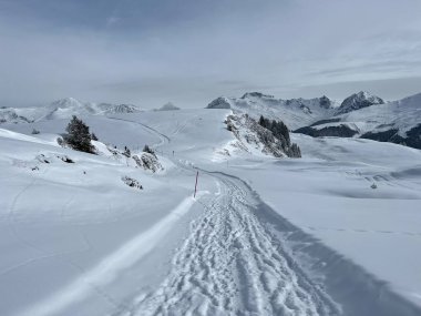 Excellently arranged and cleaned winter trails for walking, hiking, sports and recreation in the area of the Swiss tourist winter resort of Arosa - Canton of Grisons, Switzerland (Schweiz)
