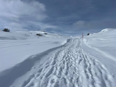 Excellently arranged and cleaned winter trails for walking, hiking, sports and recreation in the area of the Swiss tourist winter resort of Arosa - Canton of Grisons, Switzerland (Schweiz)