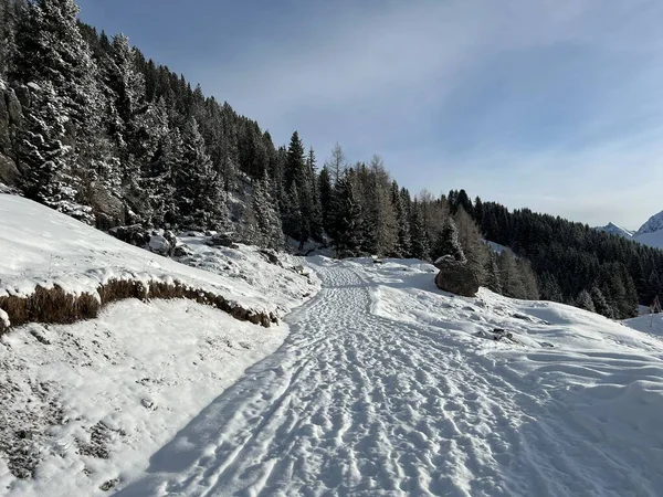 素晴らしい冬のハイキングコースとスイスアルプスの新鮮な高山の雪のカバーとアロサの観光リゾート スイスのグリソンのカントン スイス — ストック写真
