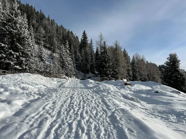Wonderful Winter Hiking Trails Traces Fresh Alpine Snow Cover Swiss — Stok fotoğraf