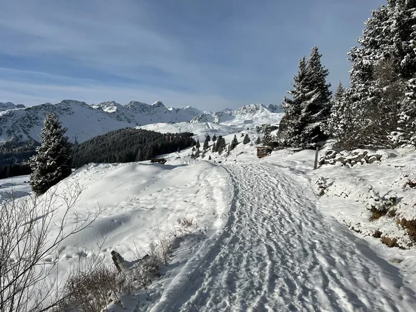 Maravillosas Rutas Senderismo Invierno Rastros Cubierta Nieve Alpina Fresca Los —  Fotos de Stock