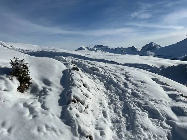 Wspaniałe Zimowe Szlaki Turystyczne Szlaki Świeżym Alpejskim Pokrywie Śnieżnej Alp — Zdjęcie stockowe