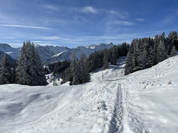 Prachtige Winterwandelpaden Sporen Frisse Alpensneeuw Van Zwitserse Alpen Het Toeristenoord — Stockfoto