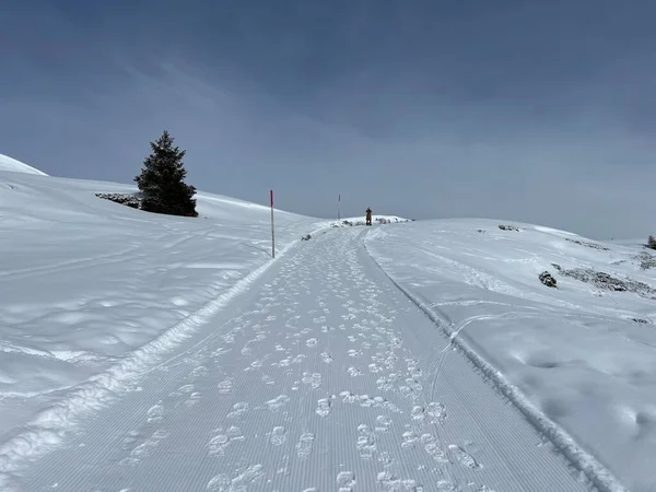 Kiválóan Szervezett Tisztított Téli Ösvények Gyaloglás Túrázás Sport Rekreáció Területén — Stock Fotó
