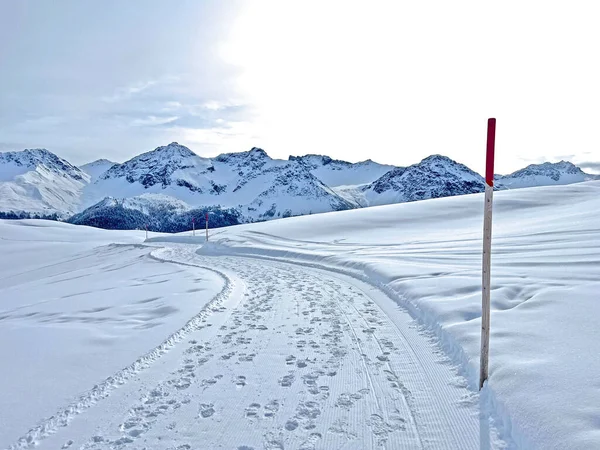 stock image Excellently arranged and cleaned winter trails for walking, hiking, sports and recreation in the area of the Swiss tourist winter resort of Arosa - Canton of Grisons, Switzerland (Schweiz)