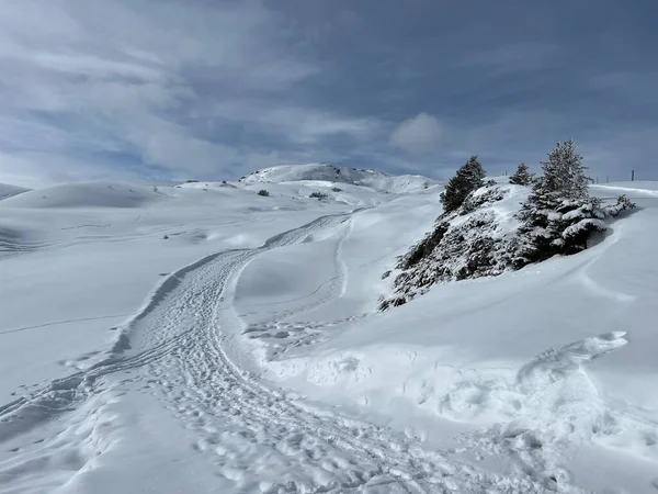 在瑞士Grisons州Arosa冬季旅游胜地 Schweiz 妥善安排和清理冬季小径 供步行 运动和娱乐 — 图库照片