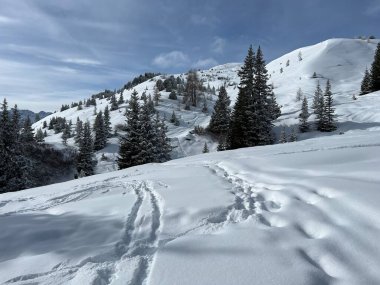 Wonderful winter hiking trails and traces in the fresh alpine snow cover of the Swiss Alps and over the tourist resort of Arosa - Canton of Grisons, Switzerland (Schweiz)