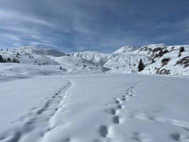 İsviçre Alpleri 'nin taze dağlık kar örtüsünde ve İsviçre' nin Grisonlar Kantonu, İsviçre 'nin turistik tatil beldesi Arosa' nın üzerinde harika kış yürüyüşü patikaları ve izler var.)