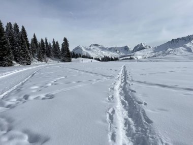 Wonderful winter hiking trails and traces in the fresh alpine snow cover of the Swiss Alps and over the tourist resort of Arosa - Canton of Grisons, Switzerland (Schweiz)