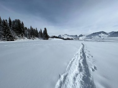Wonderful winter hiking trails and traces in the fresh alpine snow cover of the Swiss Alps and over the tourist resort of Arosa - Canton of Grisons, Switzerland (Schweiz)