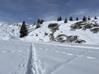 Wonderful winter hiking trails and traces in the fresh alpine snow cover of the Swiss Alps and over the tourist resort of Arosa - Canton of Grisons, Switzerland (Schweiz)