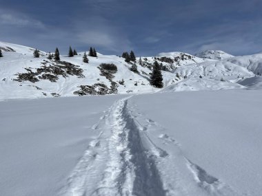 Wonderful winter hiking trails and traces in the fresh alpine snow cover of the Swiss Alps and over the tourist resort of Arosa - Canton of Grisons, Switzerland (Schweiz)
