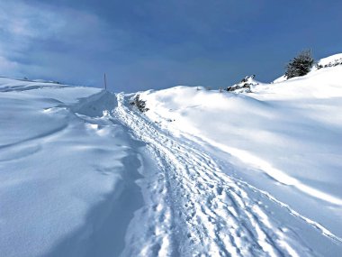 İsviçre Alpleri 'nin taze dağlık kar örtüsünde ve İsviçre' nin Grisonlar Kantonu, İsviçre 'nin turistik tatil beldesi Arosa' nın üzerinde harika kış yürüyüşü patikaları ve izler var.)