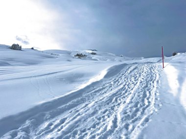 Wonderful winter hiking trails and traces in the fresh alpine snow cover of the Swiss Alps and over the tourist resort of Arosa - Canton of Grisons, Switzerland (Schweiz)