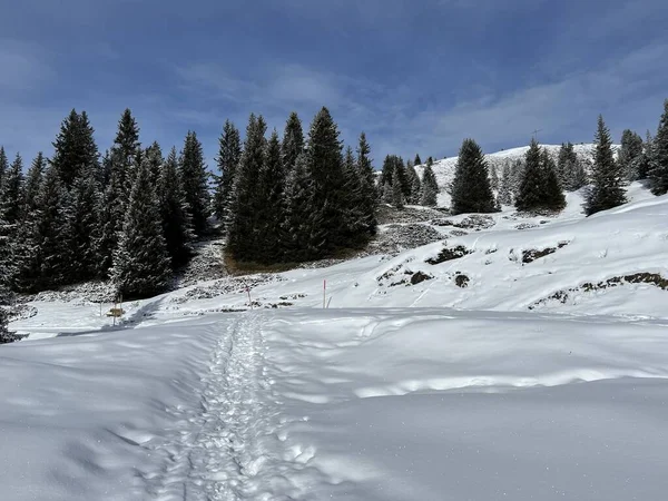 Wonderful Winter Hiking Trails Traces Fresh Alpine Snow Cover Swiss — Stockfoto