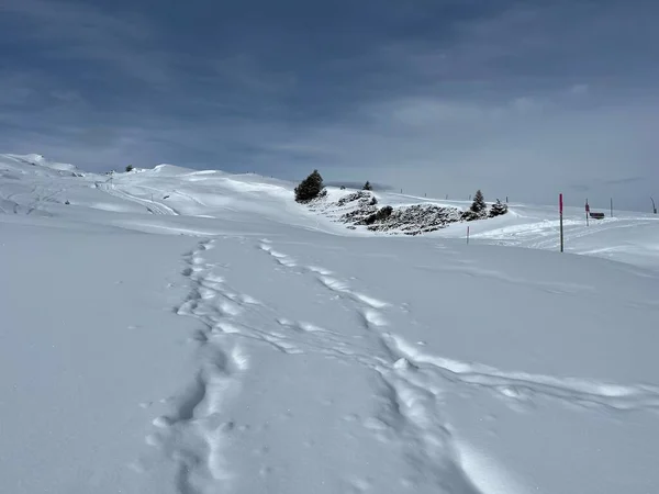 Csodálatos Téli Túraútvonalak Nyomokat Friss Alpesi Hótakaró Svájci Alpokban Turisztikai — Stock Fotó