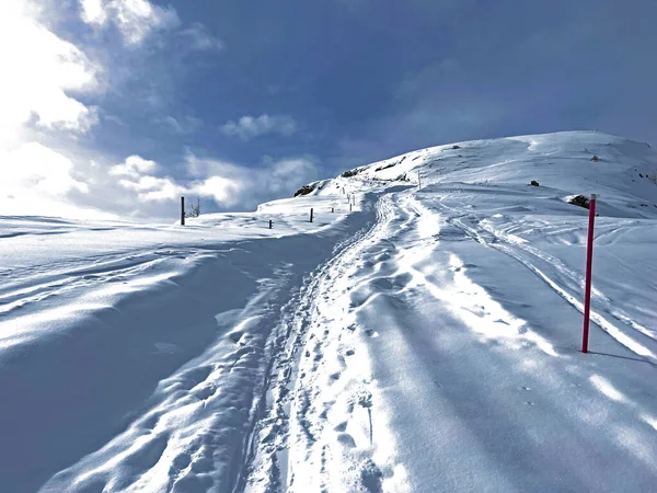 Υπέροχες Διαδρομές Για Χειμερινή Πεζοπορία Και Ίχνη Στο Φρέσκο Αλπικό — Φωτογραφία Αρχείου