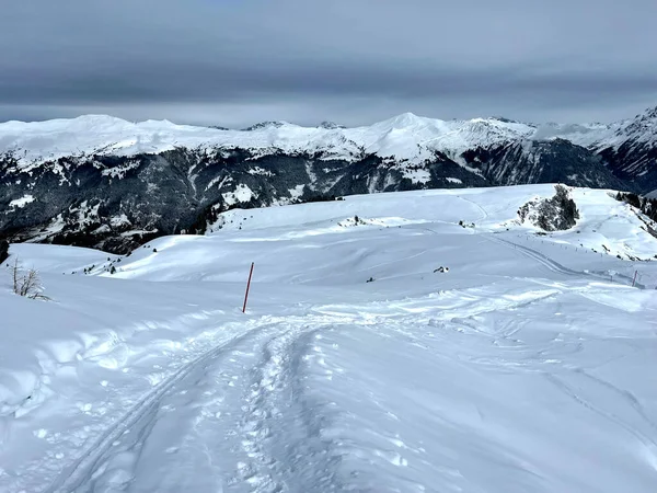 Чудові Зимові Походи Сліди Свіжому Гірському Сніговому Покриві Швейцарських Альп — стокове фото