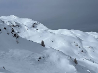Beautiful sunlit and snow-capped alpine peaks above the Swiss tourist sports-recreational winter resort of Arosa - Canton of Grisons, Switzerland (Schweiz)