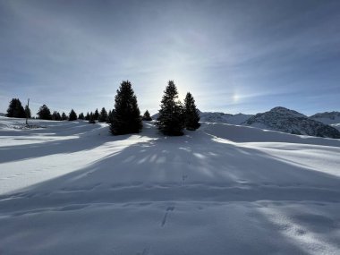 A magical play of sunlight and shadow during the alpine winter on the snowy slopes above the mountine Swiss tourist resort of Arosa - Canton of Grisons, Switzerland (Schweiz)