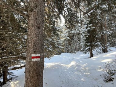 İsviçre 'nin Alplerindeki Arosa turistik beldesi - İsviçre' nin Grison Kantonu - (Schweiz)