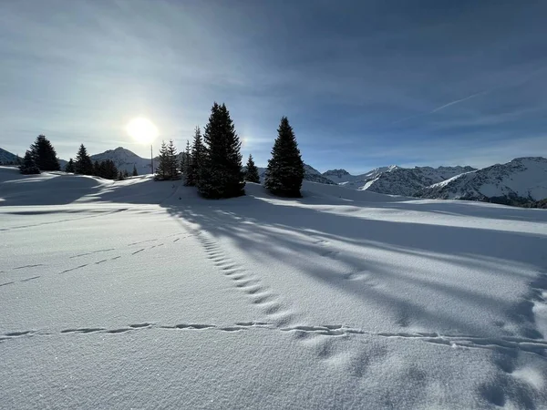 Magical Play Sunlight Shadow Alpine Winter Snowy Slopes Mountine Swiss — Stok fotoğraf