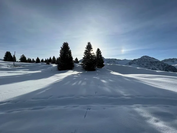 Magiczna Gra Światła Słonecznego Cienia Podczas Alpejskiej Zimy Śnieżnych Stokach — Zdjęcie stockowe