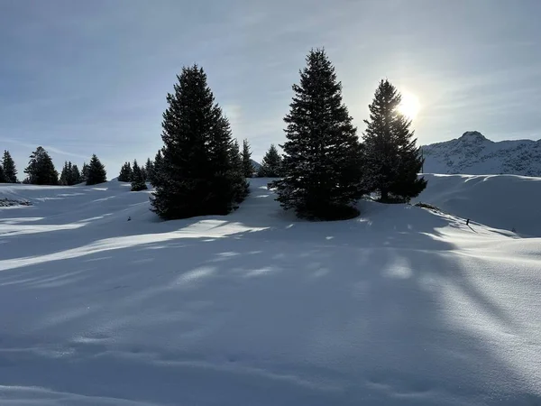 Mágico Juego Sol Sombra Durante Invierno Alpino Las Laderas Nevadas —  Fotos de Stock