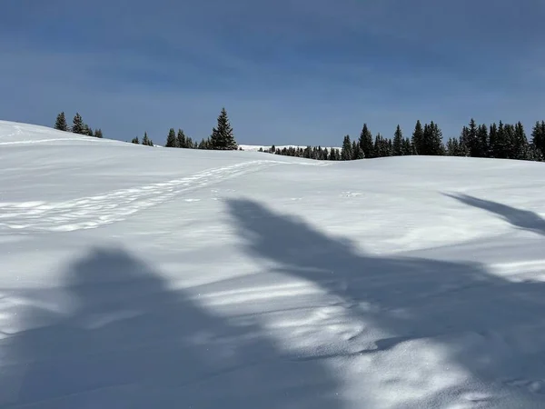 Magico Gioco Luci Ombre Durante Inverno Alpino Sulle Piste Innevate — Foto Stock