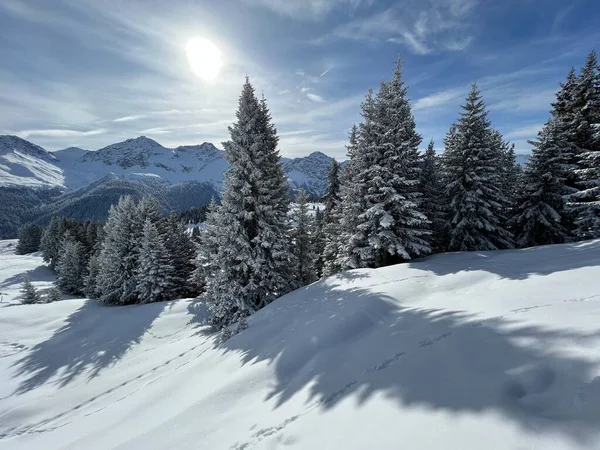 Kouzelná Hra Slunečního Svitu Stínu Během Alpské Zimy Zasněžených Svazích — Stock fotografie