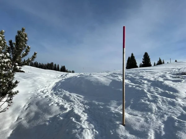 İsviçre 'nin Alplerindeki Arosa turistik beldesi - İsviçre' nin Grison Kantonu - (Schweiz)