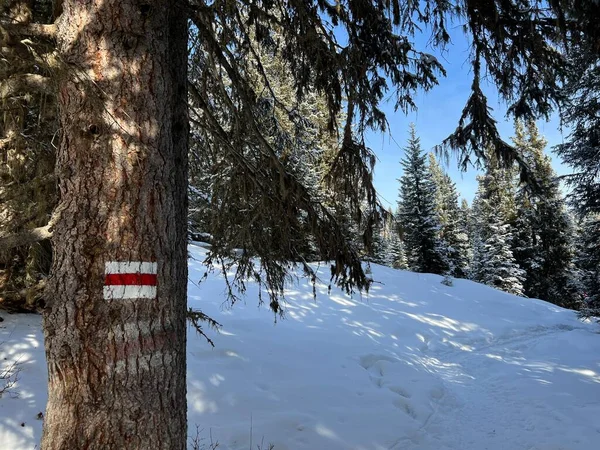 Kirándulási Jelzések Tájékozódási Jelzések Útjelző Táblákkal Svájci Alpokban Található Arosa — Stock Fotó