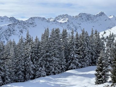 İsviçre Alpleri 'ndeki tipik kış atmosferindeki alp ağaçlarının ve İsviçre' nin Grisonlar Kantonu 'ndaki turizm beldesi Arosa' nın üzerindeki resim gibi gölgeler (Schweiz)