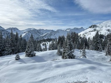 İsviçre Alpleri 'ndeki tipik kış atmosferindeki alp ağaçlarının ve İsviçre' nin Grisonlar Kantonu 'ndaki turizm beldesi Arosa' nın üzerindeki resim gibi gölgeler (Schweiz)