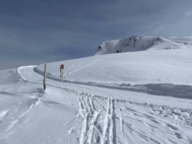 Excellently arranged and cleaned winter trails for walking, hiking, sports and recreation in the area of the Swiss tourist winter resort of Arosa - Canton of Grisons, Switzerland (Schweiz)