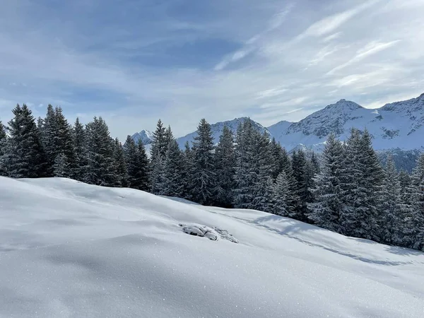 Malownicze Zadaszenia Alpejskich Drzew Typowej Zimowej Atmosferze Alpach Szwajcarskich Nad — Zdjęcie stockowe