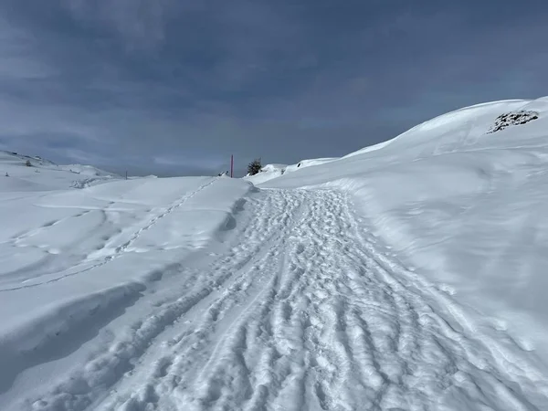 スイスの冬のリゾート地アロスのスイスの観光地でのウォーキング ハイキング スポーツ レクリエーションのための優れた配置され 清掃された冬のトレイル スイスのグリソンのカントン スイス — ストック写真