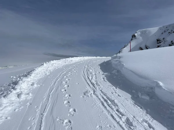 stock image Excellently arranged and cleaned winter trails for walking, hiking, sports and recreation in the area of the Swiss tourist winter resort of Arosa - Canton of Grisons, Switzerland (Schweiz)