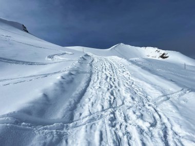 İsviçre Alpleri 'nin taze dağlık kar örtüsünde ve İsviçre' nin Grisonlar Kantonu, İsviçre 'nin turistik tatil beldesi Arosa' nın üzerinde harika kış yürüyüşü patikaları ve izler var.)