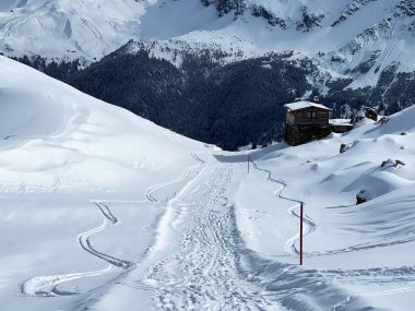 Wonderful winter hiking trails and traces in the fresh alpine snow cover of the Swiss Alps and over the tourist resort of Arosa - Canton of Grisons, Switzerland (Schweiz)