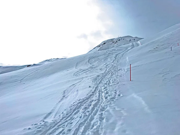 Csodálatos Téli Túraútvonalak Nyomokat Friss Alpesi Hótakaró Svájci Alpokban Turisztikai — Stock Fotó