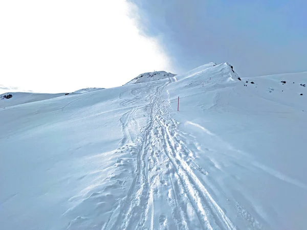 Прекрасные Зимние Пешеходные Маршруты Следы Свежем Альпийском Снежном Покрове Швейцарских — стоковое фото