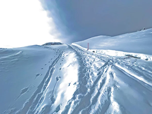 Stock image Wonderful winter hiking trails and traces in the fresh alpine snow cover of the Swiss Alps and over the tourist resort of Arosa - Canton of Grisons, Switzerland (Schweiz)