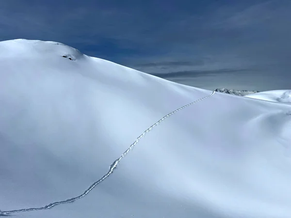 Wunderschöne Winterwanderwege Und Spuren Der Neuschneedecke Der Schweizer Alpen Und — Stockfoto