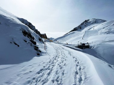 Wonderful winter hiking trails and traces in the fresh alpine snow cover of the Swiss Alps and over the tourist resort of Arosa - Canton of Grisons, Switzerland (Schweiz)