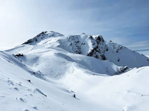Заснеженная Альпийская Вершина Вайсхорн 2653 Горном Хребте Плессур Альпы Плессуральпен — стоковое фото