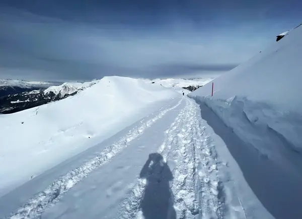 在瑞士阿尔卑斯山的新鲜高山雪地上 在瑞士格里森州的旅游胜地Arosa 施韦兹 冬天的远足小径和小径令人赞叹 — 图库照片